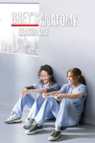 Grey’s Anatomy: Season 1