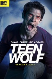 Teen Wolf: Season 6