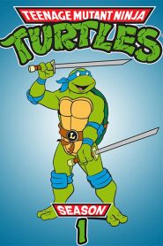 Teenage Mutant Ninja Turtles: Season 1