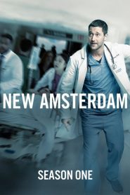 New Amsterdam: Season 1