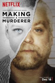 Making a Murderer: Season 1