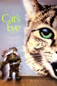 Cat’s Eye