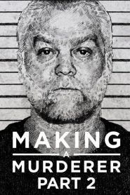 Making a Murderer: Season 2