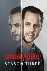 Sneaky Pete: Season 3